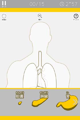 あそんでまなべる 人体模型パズル
