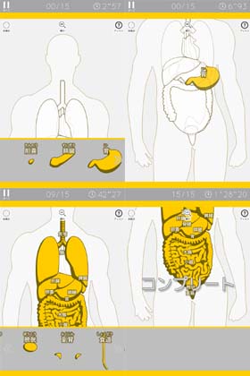 あそんでまなべる 人体模型パズル