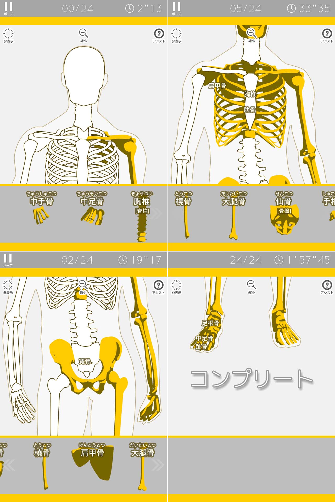 あそんでまなべる 人体模型パズル