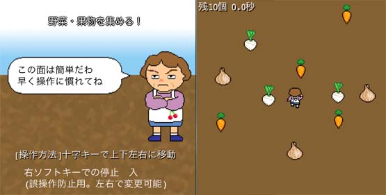 おばちゃんが集める