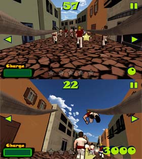 Bull Runner